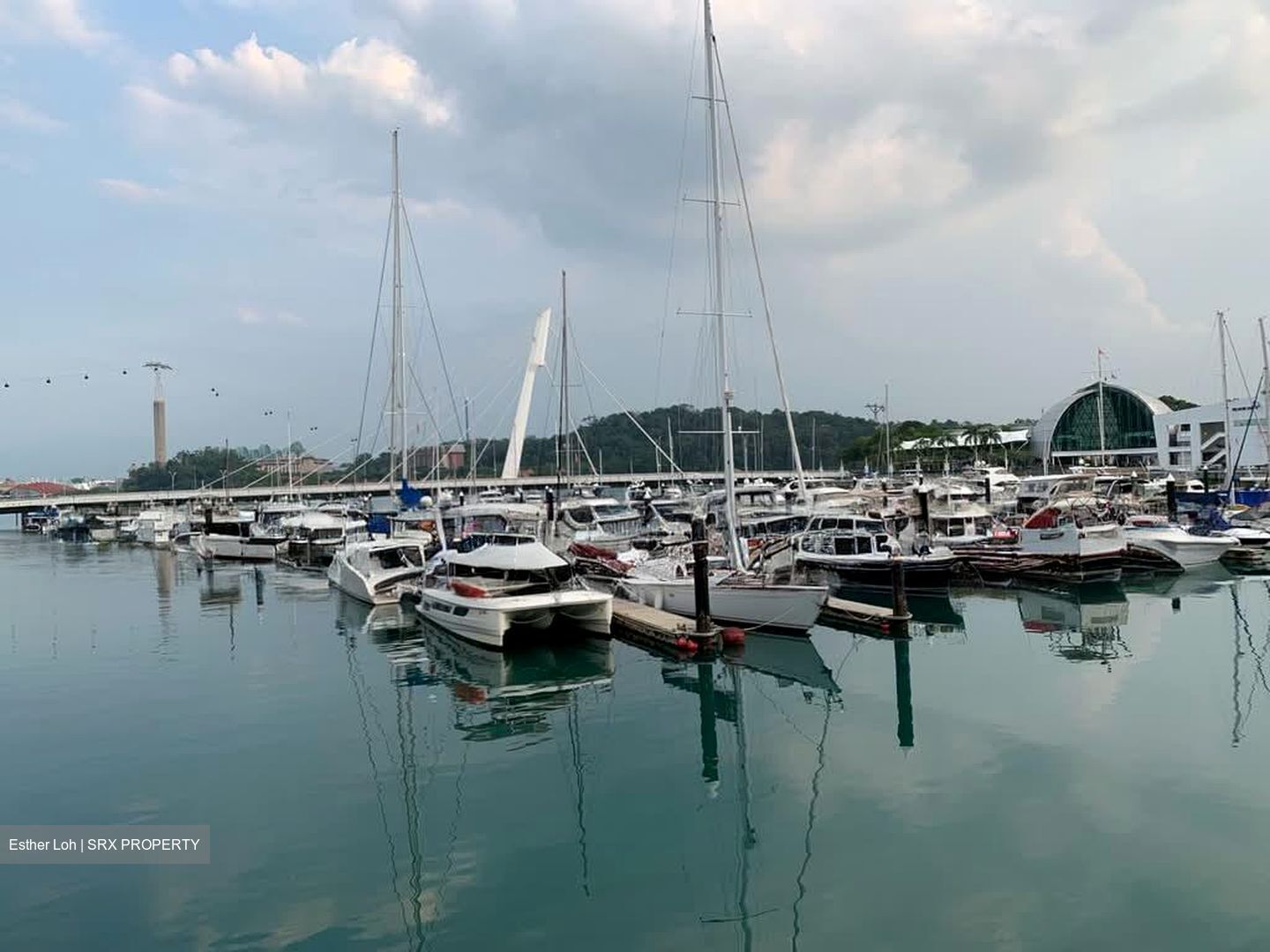 Reflections At Keppel Bay (D4), Condominium #552473831